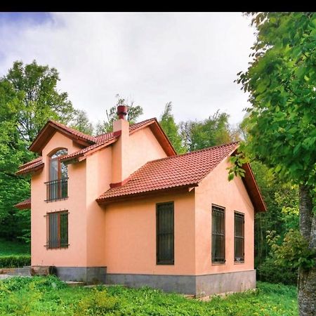 Dilijan Dream House! 3 Bedroom Amazing Villa In National Park! Exterior photo